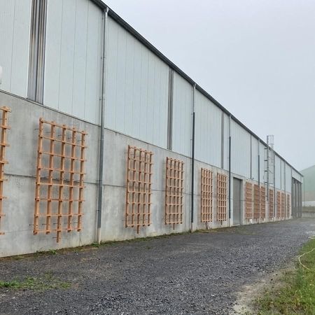 Rankgerüste an einer Lagerhalle